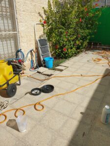 הדברה נגד ג'וקים ומזיקים בגינה